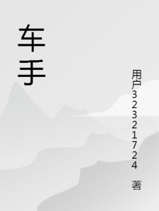车手