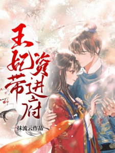 王妃带资进府小说