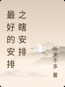 最好的安排之瞎安排小说