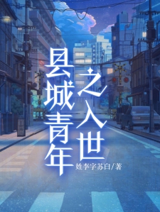 县城青年之入世小说