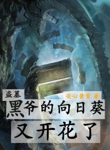 盗墓：黑爷的向日葵又开花了小说